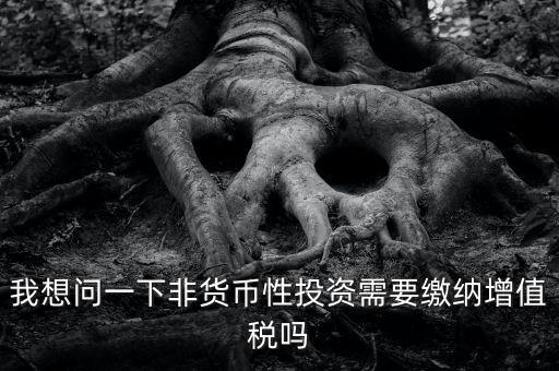 我想問(wèn)一下非貨幣性投資需要繳納增值稅嗎