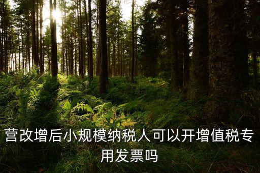 營(yíng)改增后小規(guī)模納稅人可以開(kāi)增值稅專(zhuān)用發(fā)票嗎
