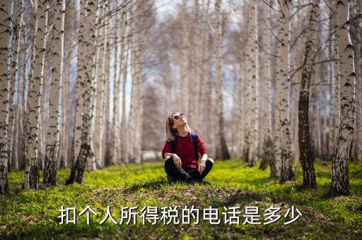 成都查個稅打什么電話，如何查詢個人所得稅明細(xì)