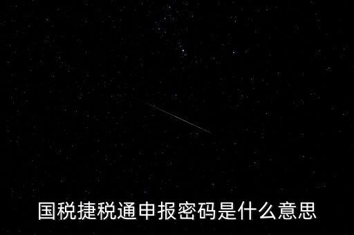 稅務(wù)軟件申報密碼是什么意思，納稅申報密碼是什么