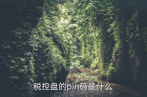 報稅pin口令是什么，稅控盤的pin碼是什么