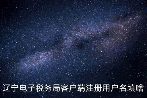 遼寧省網(wǎng)上稅務(wù)局登錄需要什么，遼寧電子稅務(wù)局客戶端注冊(cè)用戶名填啥