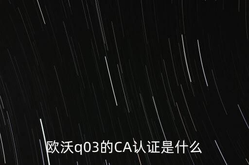 ca認證密碼是什么意思，歐沃q03的CA認證是什么