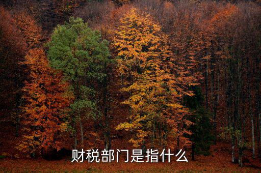 財(cái)稅征收保障網(wǎng)是什么，財(cái)稅部門是指什么