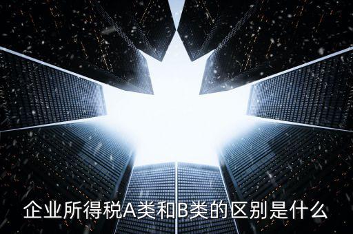 環(huán)境保護稅a類和b類什么區(qū)別，企業(yè)所得稅a類表和b類有什么區(qū)別