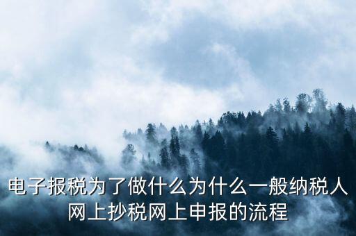電子稅務(wù)申報(bào)是什么來的，電子申報(bào)納稅是怎么回事給報(bào)送紙質(zhì)申報(bào)材料一樣嗎