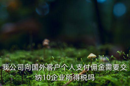 我公司向國外客戶個(gè)人支付傭金需要交納10企業(yè)所得稅嗎