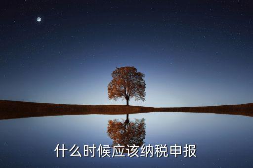 消費(fèi)稅什么時(shí)候申報(bào)，什么時(shí)候應(yīng)該納稅申報(bào)