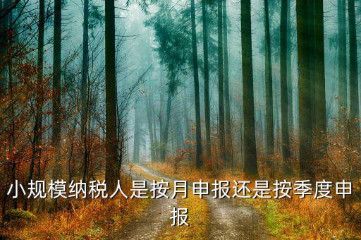 小規(guī)模納稅人按季申報(bào)是指什么，增值稅小規(guī)模納稅人按季申報(bào)怎么填