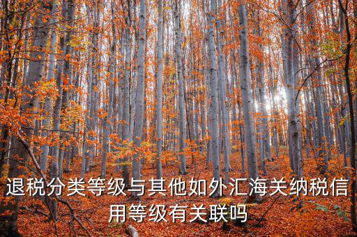 退稅分類等級與其他如外匯海關納稅信用等級有關聯(lián)嗎