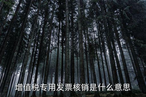 發(fā)票管家是什么，發(fā)票開票系統(tǒng)KEY是什么