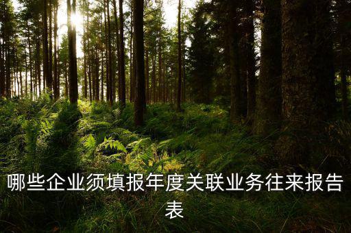 哪些企業(yè)須填報年度關聯(lián)業(yè)務往來報告表