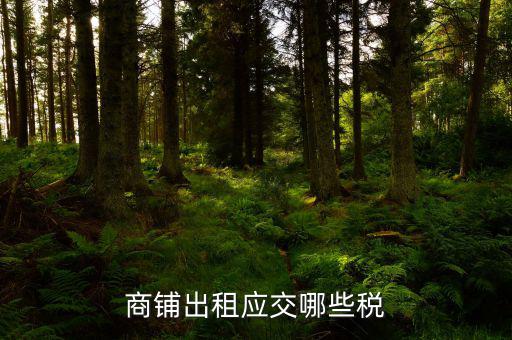 門(mén)面租賃稅是什么，商鋪出租應(yīng)交哪些稅