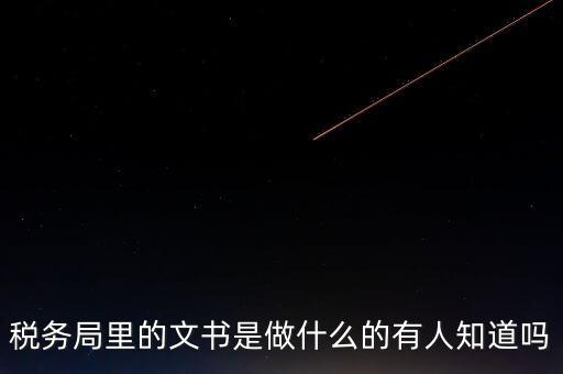 稅務(wù)局里的文書是做什么的有人知道嗎
