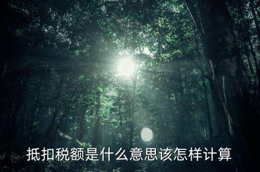 抵扣稅額是什么意思該怎樣計算