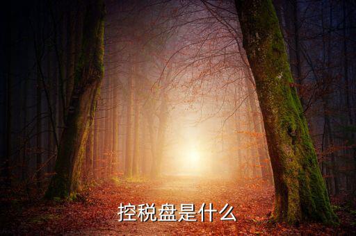 稅控盤是什么，稅控發(fā)票開票軟件 和金稅盤是什么意思