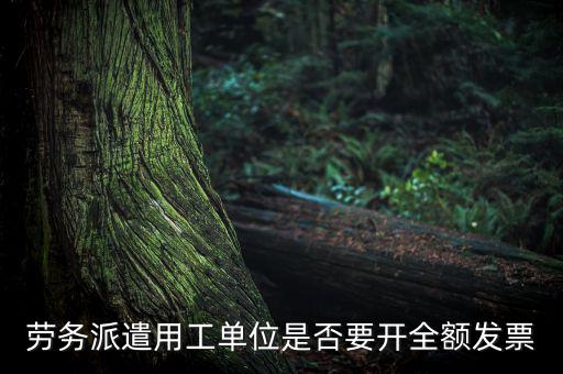 勞務(wù)派遣開什么票，勞務(wù)派遣小時(shí)工發(fā)票怎么開