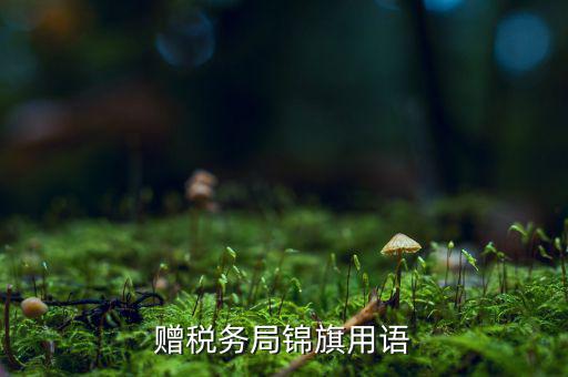 送錦旗給稅局可以寫什么內(nèi)容，贈(zèng)稅務(wù)局錦旗用語(yǔ)
