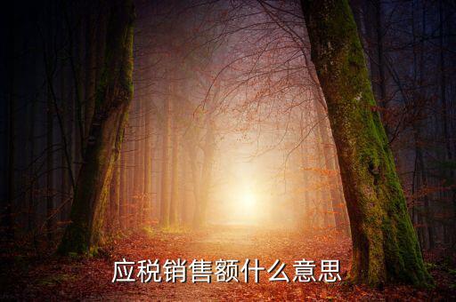 稅務(wù)銷售額是什么意思，年應(yīng)稅銷售額是什么意思