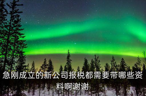 報(bào)稅要帶什么資料，增值稅報(bào)稅都要準(zhǔn)備哪些資料