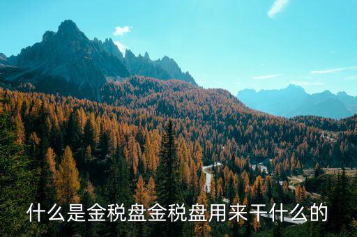 金稅盤是做什么用的，什么是金稅盤金稅盤用來干什么的
