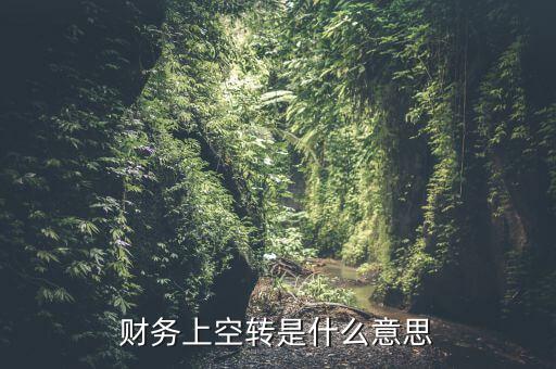 財務(wù)上空轉(zhuǎn)是什么意思
