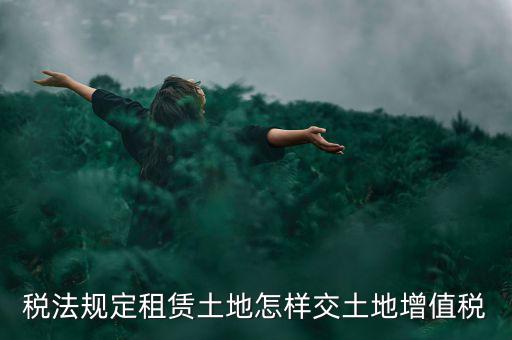 租用土地要交什么稅，土地租賃應該繳哪些稅收