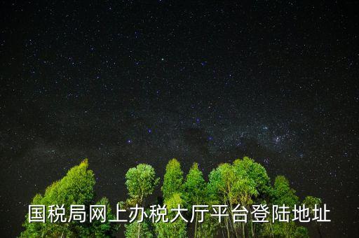 國(guó)稅網(wǎng)什么網(wǎng)站可以登錄，河北國(guó)稅網(wǎng)上辦稅服務(wù)廳用戶登錄地址