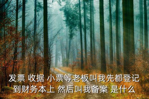 發(fā)票 收據(jù) 小票等老板叫我先都登記到財務(wù)本上 然后叫我備案 是什么