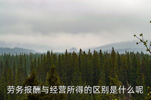 什么是經(jīng)營(yíng)所得，個(gè)體工商戶的生產(chǎn)經(jīng)營(yíng)所得是指什么