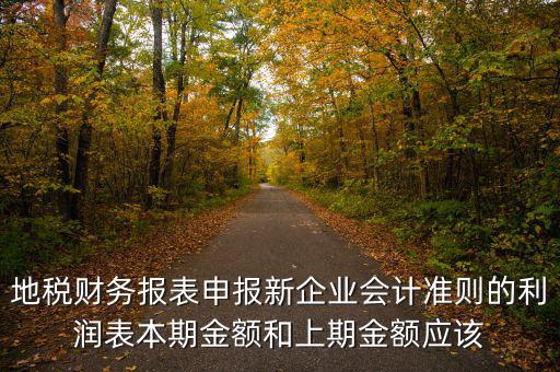 地稅利潤表的上期金額指什么，新會計制度下利潤表中本期金額和上期金額是什么意思