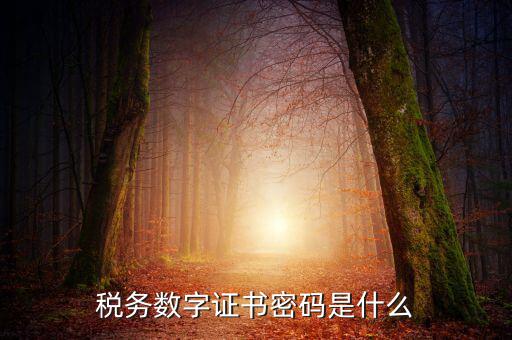 湖北地稅ca登錄密碼是什么意思，地稅CA證書如何解密碼
