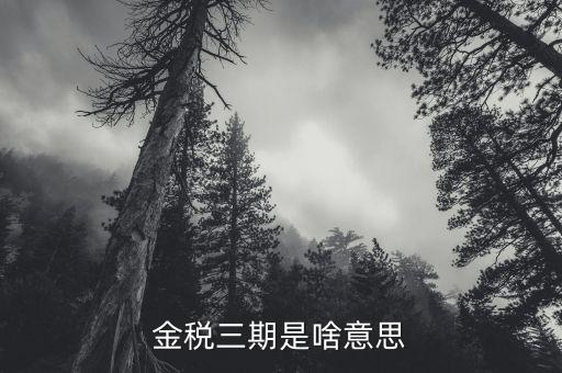 金稅三期是啥意思