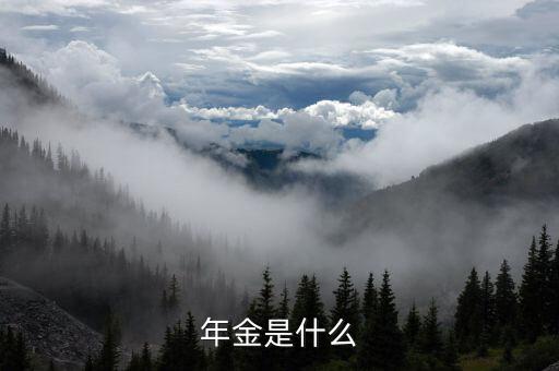 金稅三期里的年金是指什么，年金是什么