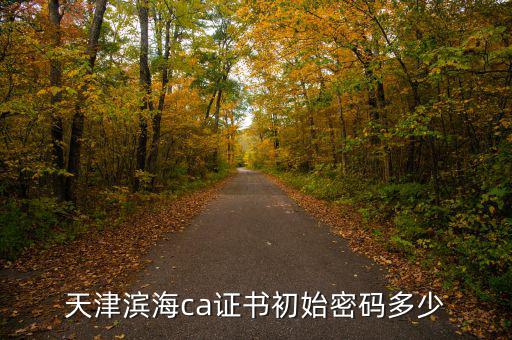 天津ca密碼是什么意思，天津社?？ǔ跏济艽a是多少啊 我是中國銀行的