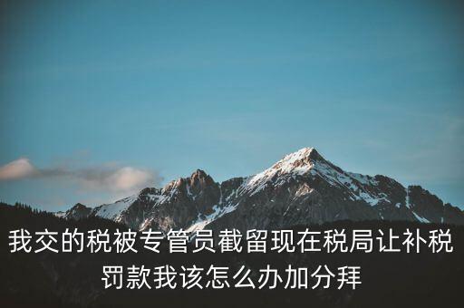 稅務(wù)人員截留稅款受什么處分，我交的稅被專管員截留現(xiàn)在稅局讓補(bǔ)稅罰款我該怎么辦加分拜