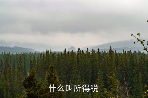 居民企業(yè)所得稅是什么，居民企業(yè)所得稅月度預(yù)繳納稅申報(bào)收入指什么時(shí)候的
