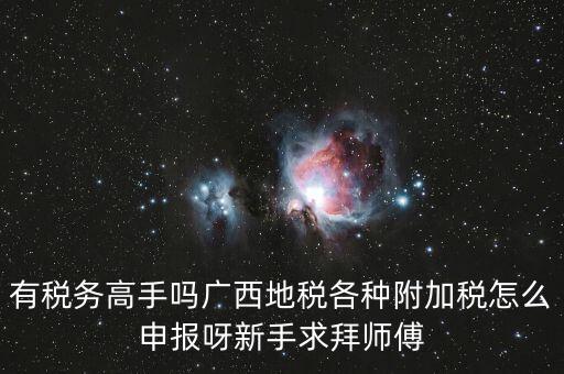 廣西地稅每個月要申報什么內(nèi)容，有稅務(wù)高手嗎廣西地稅各種附加稅怎么申報呀新手求拜師傅