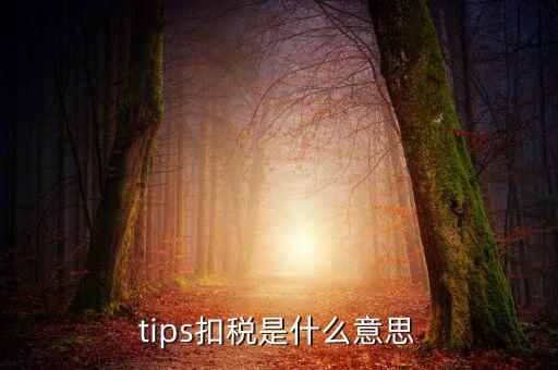 國(guó)稅tips系統(tǒng)指什么意思，電子對(duì)賬單上摘要一欄寫有tips是什么意思
