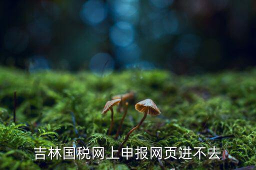 吉林省國稅上不去為什么，吉林省國家稅務(wù)局晚上申報(bào) 無法安全登陸
