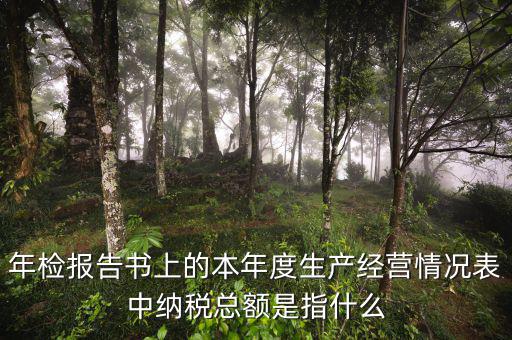 年報(bào)的納稅額看什么表，年檢報(bào)告書上的本年度生產(chǎn)經(jīng)營情況表中納稅總額是指什么