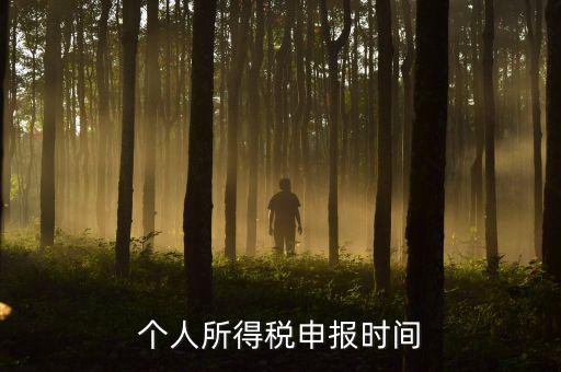 代扣代繳的個(gè)稅什么時(shí)候申報(bào)，個(gè)人所得稅申報(bào)時(shí)間