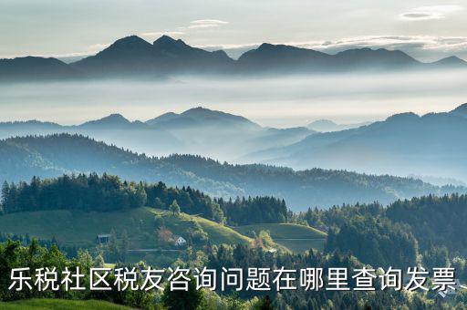 稅友服務(wù)器地址是什么，樂(lè)稅社區(qū)稅友咨詢(xún)問(wèn)題在哪里查詢(xún)發(fā)票