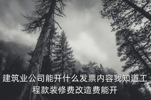 建筑業(yè)開票開什么內(nèi)容，建筑行業(yè)需要開些什么票
