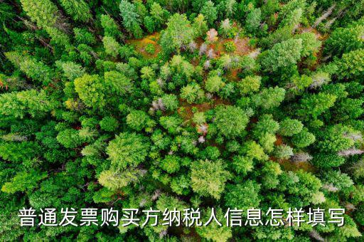 普通發(fā)票購(gòu)買方納稅人信息怎樣填寫