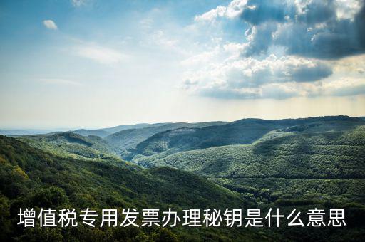 國稅密鑰是什么，增值稅專用發(fā)票辦理秘鑰是什么意思