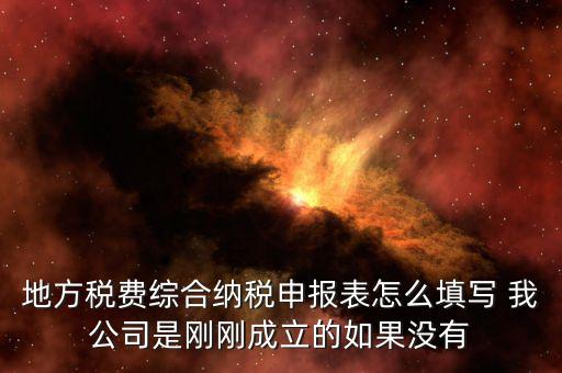 地方稅費(fèi)綜合納稅申報(bào)表怎么填寫 我公司是剛剛成立的如果沒(méi)有