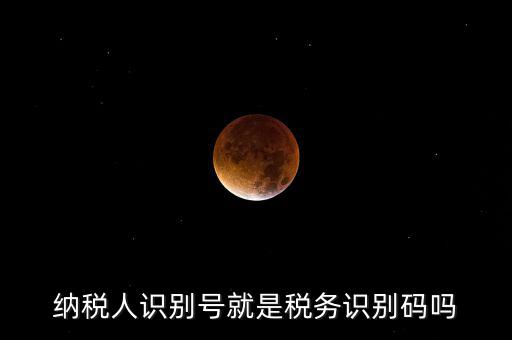 稅務(wù)標(biāo)識(shí)符是什么意思，納稅人識(shí)別碼是什么