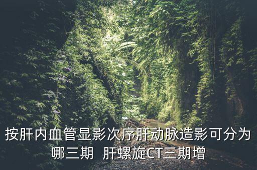 為什么要做三期增強(qiáng)，按肝內(nèi)血管顯影次序肝動脈造影可分為哪三期  肝螺旋CT三期增