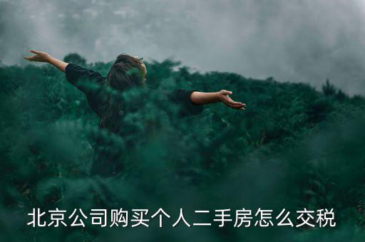 北京公司購(gòu)買個(gè)人二手房怎么交稅